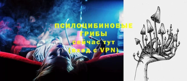 a pvp Аркадак