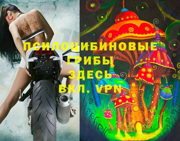 a pvp Аркадак