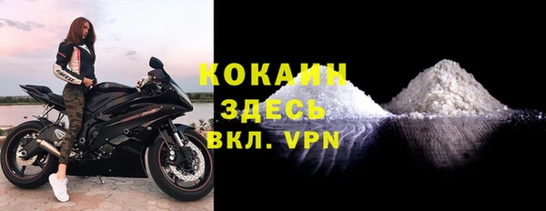 дурь Арсеньев