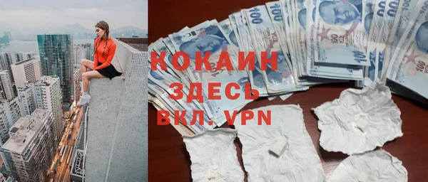дурь Арсеньев