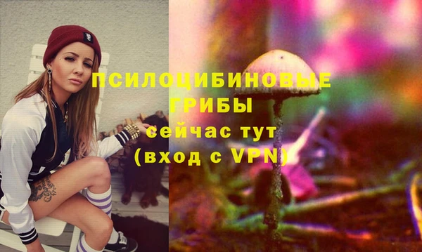 дурь Арсеньев
